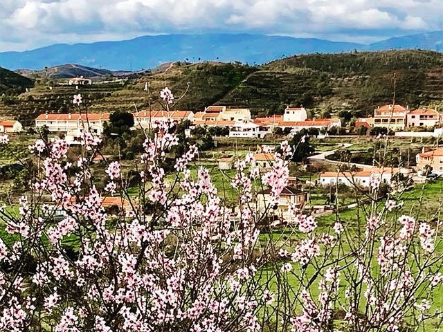 Monchique mountain view